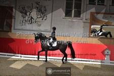 ref. photo 3497117