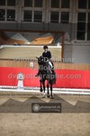ref. photo 3497135