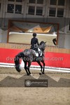 ref. photo 3497143