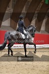 ref. photo 3497154