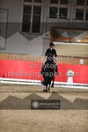 ref. photo 3497157