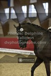 ref. photo 3497176