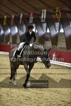 ref. photo 3497190