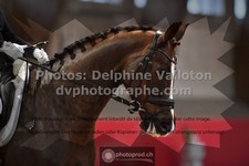 ref. photo 3497208