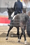 ref. photo 3497305