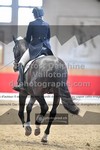 ref. photo 3497331