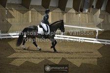 ref. photo 3497365