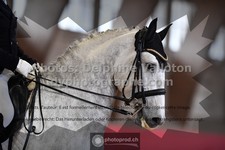 ref. photo 3497423