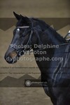 ref. photo 3497459