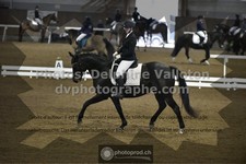 ref. photo 3497463