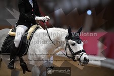 ref. photo 3497530