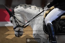 ref. photo 3497563
