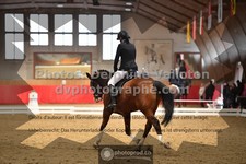 ref. photo 3497647