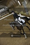 ref. photo 3497716
