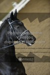 ref. photo 3497749