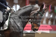 ref. photo 3497853