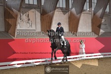 ref. photo 3497908