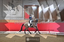 ref. photo 3498005
