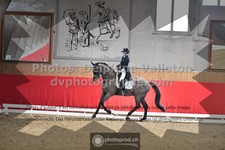 ref. photo 3498007