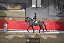 ref. photo 3498086