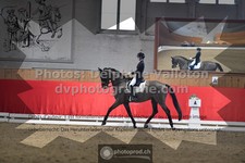 ref. photo 3498087
