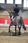ref. photo 3498099