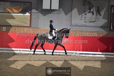 ref. photo 3498102