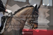 ref. photo 3498109