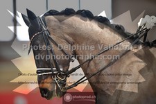 ref. photo 3498110