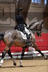 ref. photo 3498150