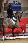 ref. photo 3498159