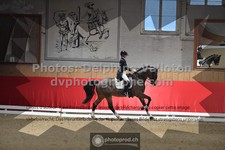 ref. photo 3498194