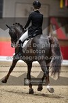 ref. photo 3498268