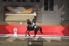 ref. photo 3498309