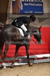 ref. photo 3498332