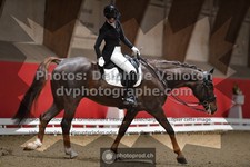 ref. photo 3498333