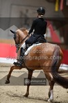 ref. photo 3498339