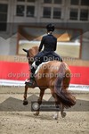ref. photo 3498341