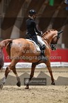 ref. photo 3498352