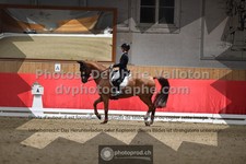 ref. photo 3498357