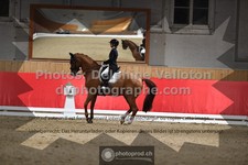 ref. photo 3498358
