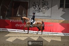 ref. photo 3498362
