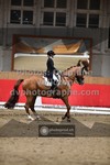 ref. photo 3498381