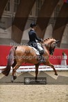 ref. photo 3498389