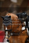 ref. photo 3498402