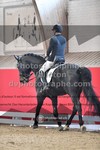 ref. photo 3498424