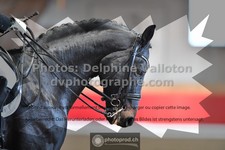 ref. photo 3498439