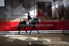 ref. photo 3498446