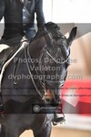 ref. photo 3498453