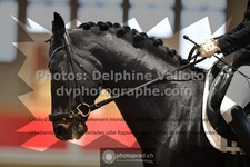 ref. photo 3498467